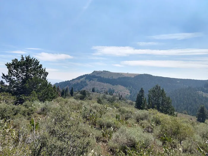 Lassen Creek Campground 6