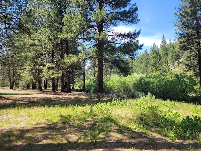Lassen Creek Campground 9