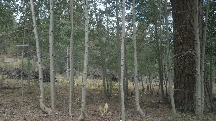 Willow Creek Campground 0