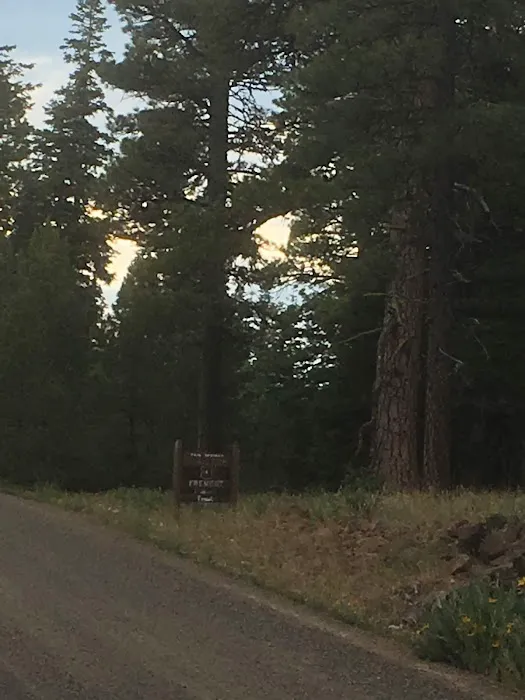 Twin Springs Forest Camp 5