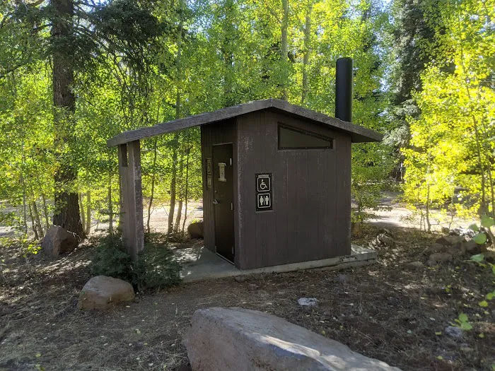 Twin Springs Forest Camp 4