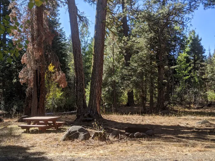 Twin Springs Forest Camp 1
