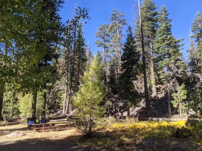 Twin Springs Forest Camp 2