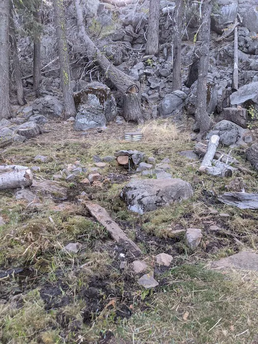 Twin Springs Forest Camp 3