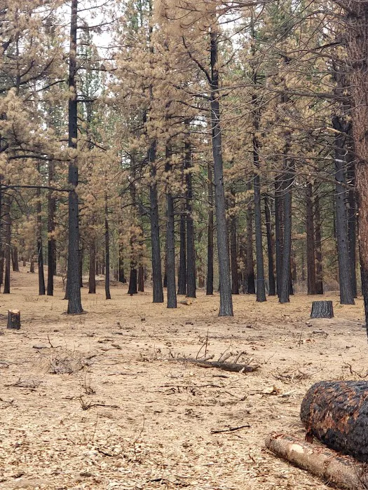 Big Cove Campground 9