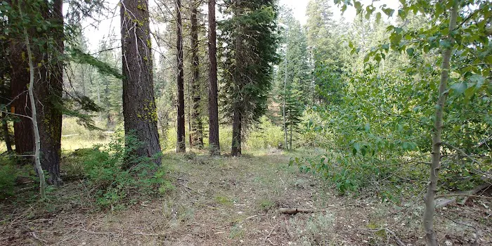 Big Cove Campground 8