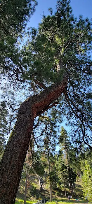 Cedar Pass Campground 6