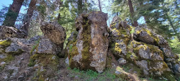 Cedar Pass Campground 8