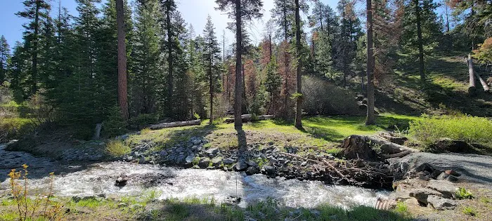 Cedar Pass Campground 7