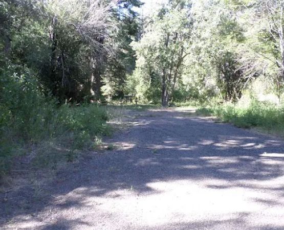 Cedar Pass Campground