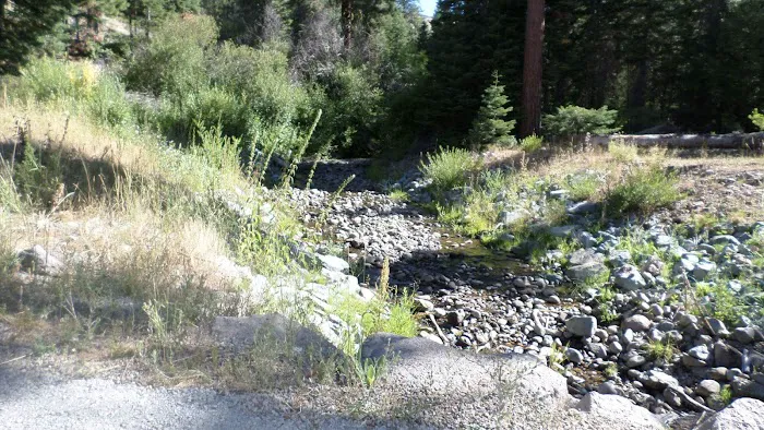 Cedar Pass Campground 5