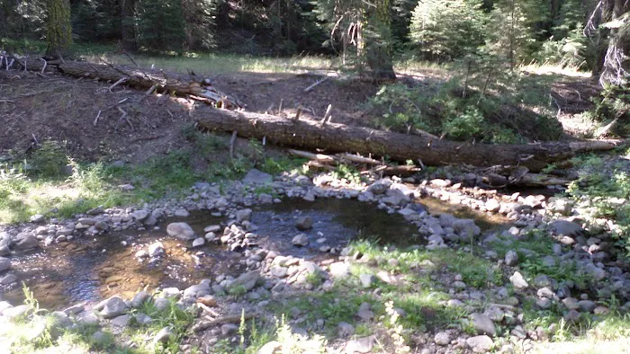 Cedar Pass Campground 4