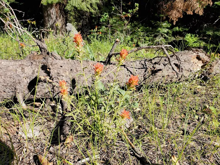 Stough Reservoir Campground 9