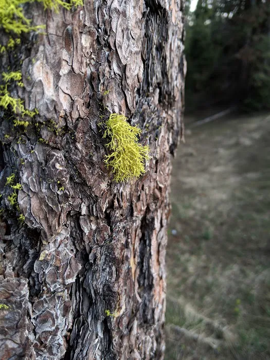 Stough Reservoir Campground 1