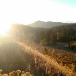 Cedar Creek Upper Trailhead (recgovnpsdata)