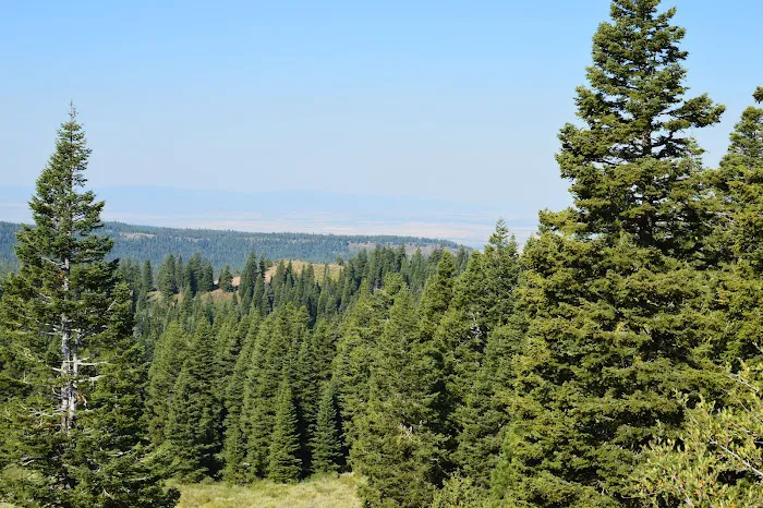 Pepperdine Equestrian Campground 1