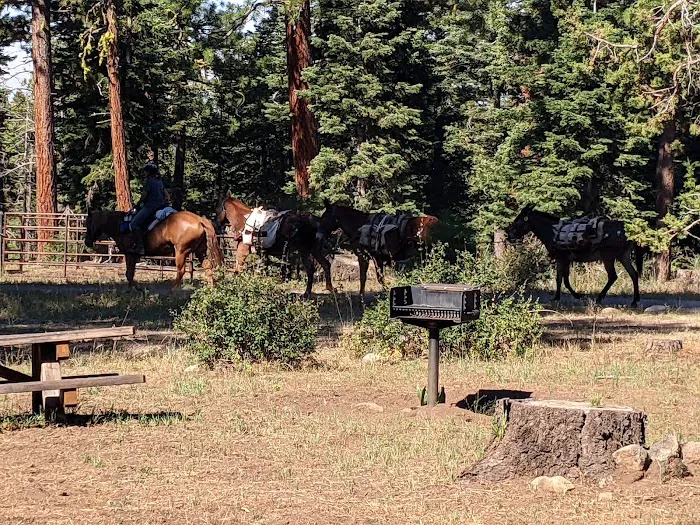 Pepperdine Equestrian Campground 5