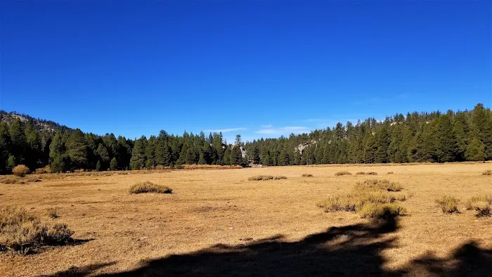 Horse Meadow Campground 7