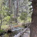 Horse Meadow Campground