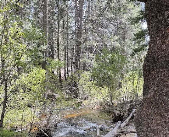 Horse Meadow Campground