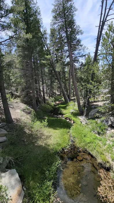 Big Meadow Campground 5