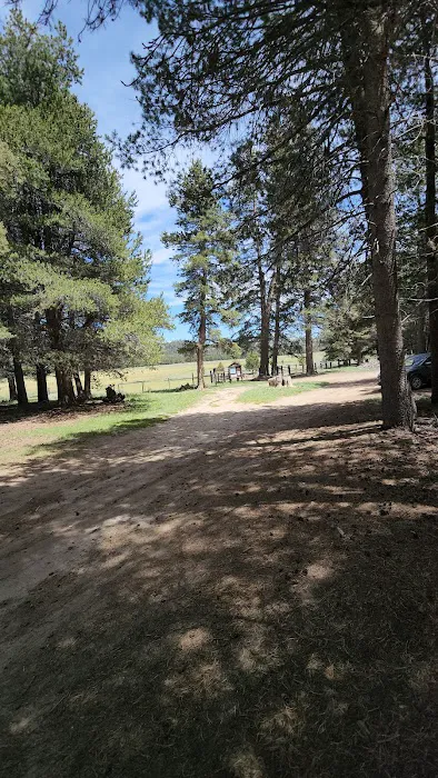 Big Meadow Campground 4