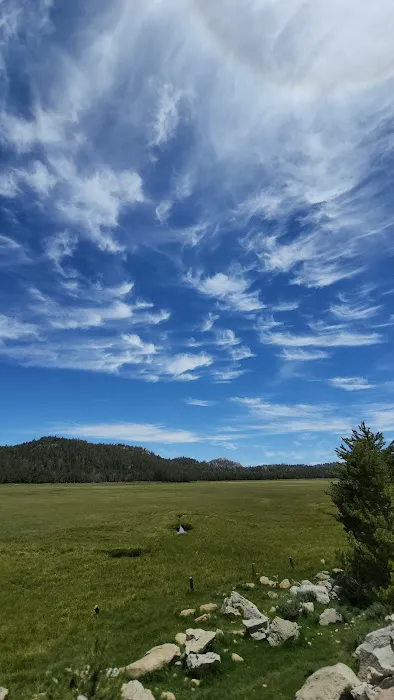 Big Meadow Campground 3