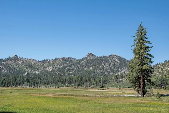 Big Meadow Campground 2