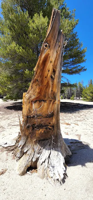 Big Meadow Campground 9