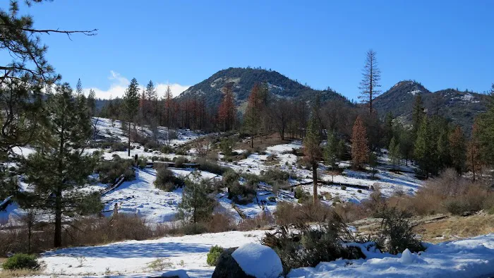 Brush Creek 5