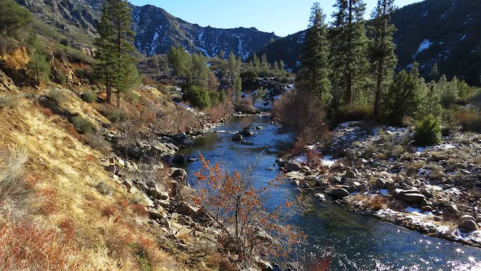 Brush Creek 9