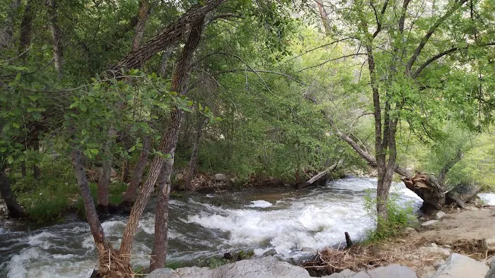 Brush Creek Campground 2
