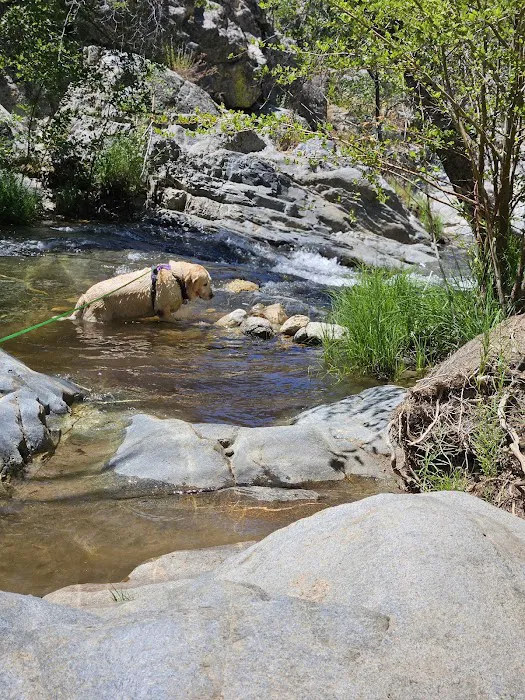 Brush Creek Campground 3