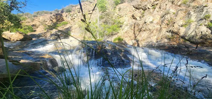 Brush Creek Campground 5