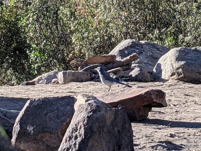 Brush Creek Campground 8