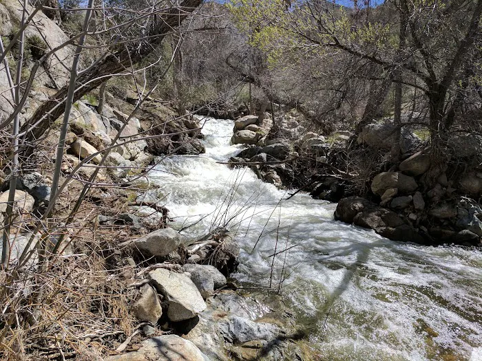 Brush Creek Class III Rapid 0