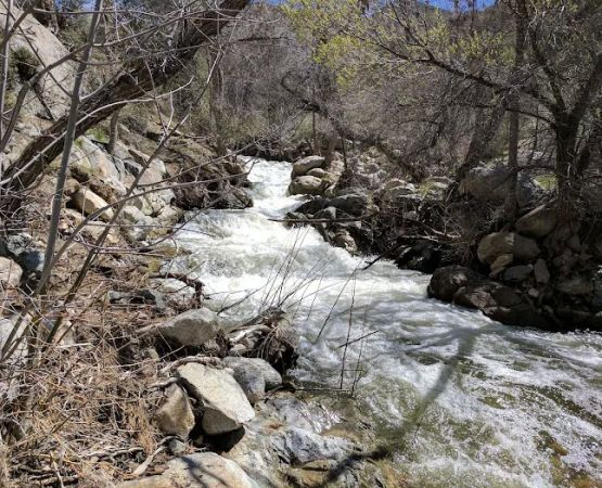 Brush Creek Class III Rapid
