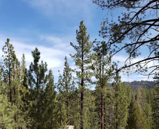 George bush campground