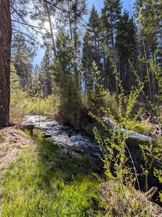 Upper Peppermint Campground 7