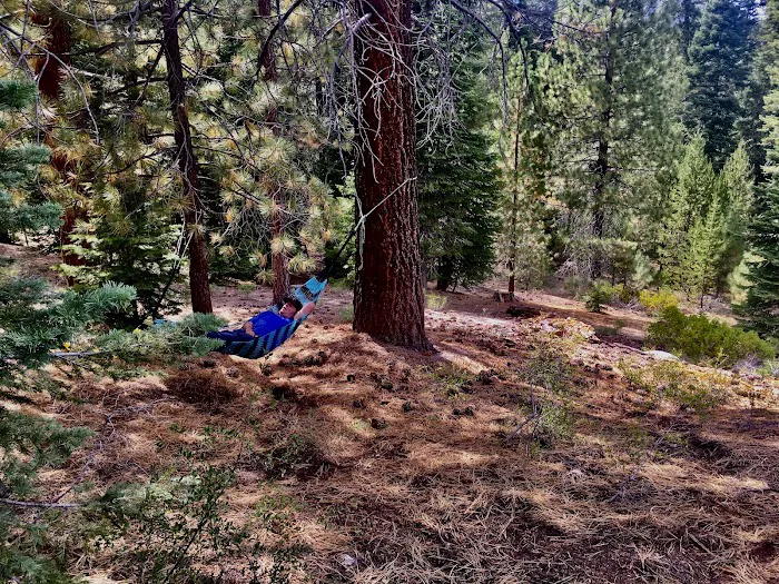 Upper Peppermint Campground 3