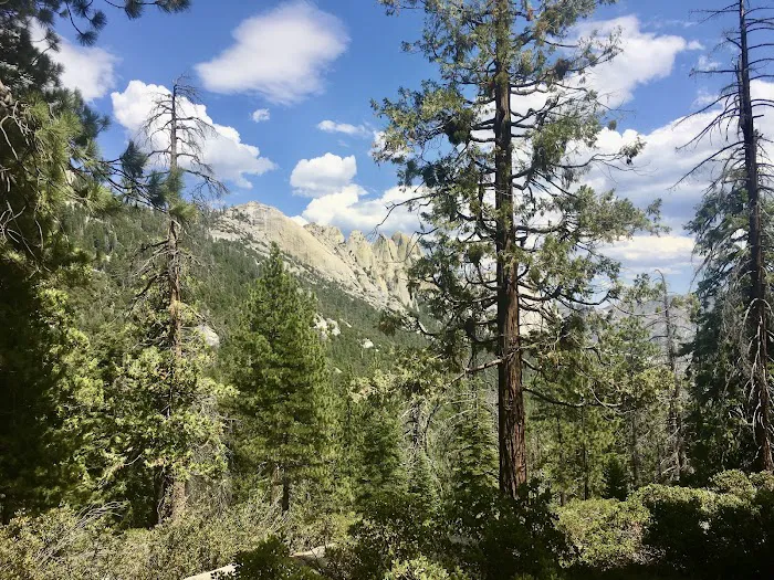 Upper Peppermint Campground 5