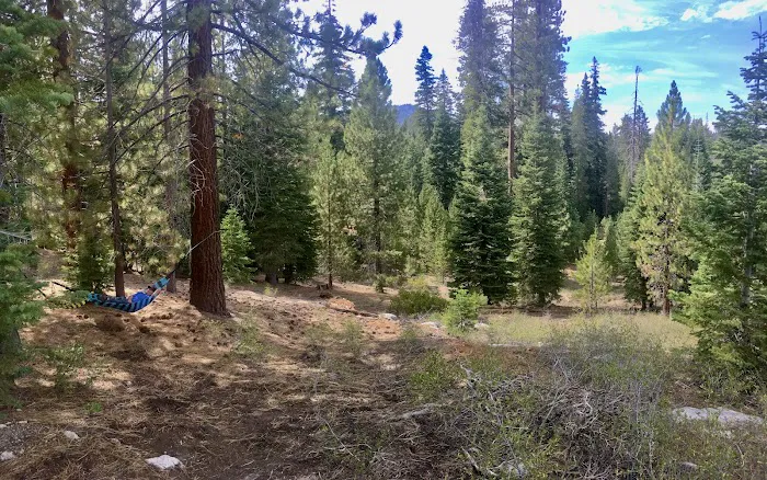 Upper Peppermint Campground 4