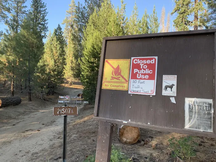 Upper Peppermint Dispersed Area 4