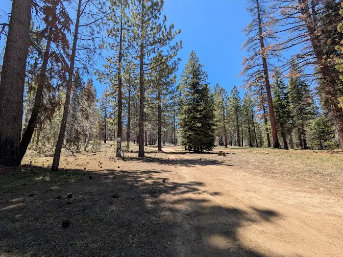 Upper Peppermint Dispersed Area 1