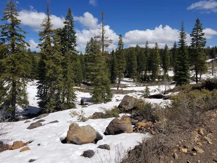 Crater Lake Campground 6