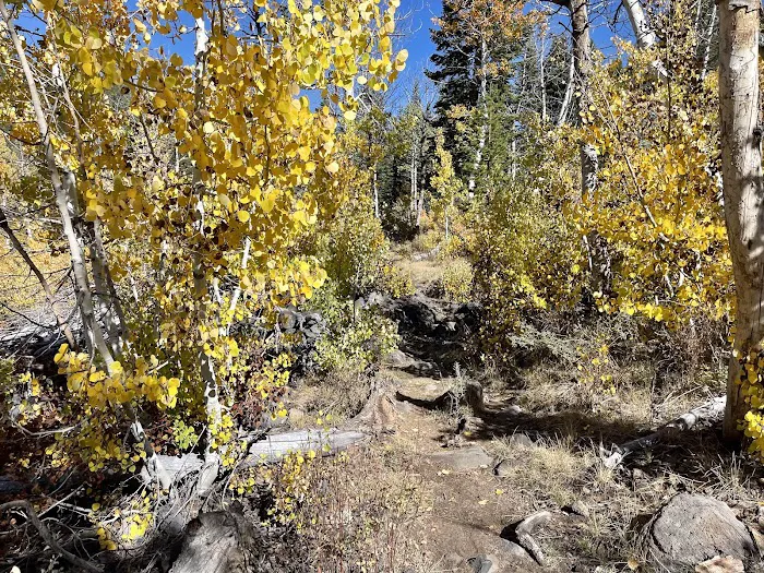 Crater Lake Campground 9