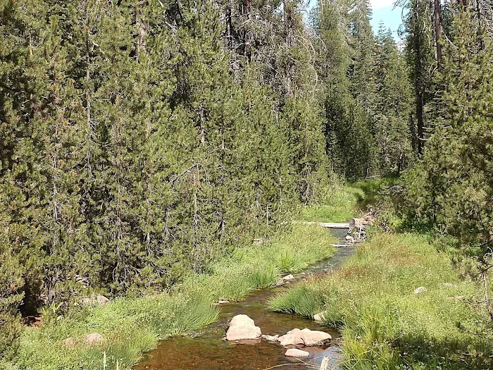Rocky Knoll Campground 7