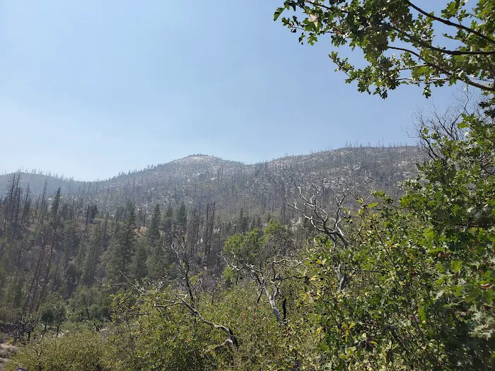 Wagner's Campground 2
