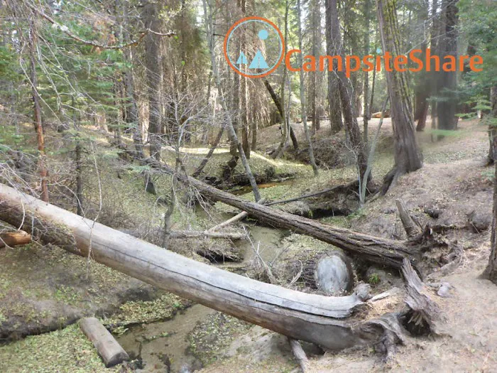 Little Jackass Campground 5
