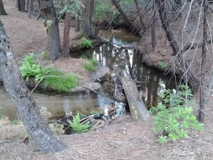 Little Jackass Campground 0